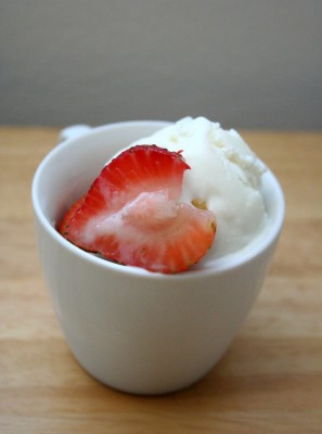 plain frozen yogurt
